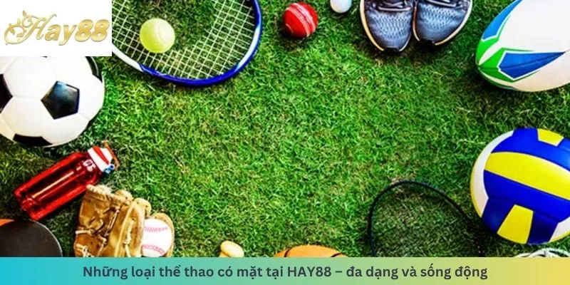 Các loại thể thao