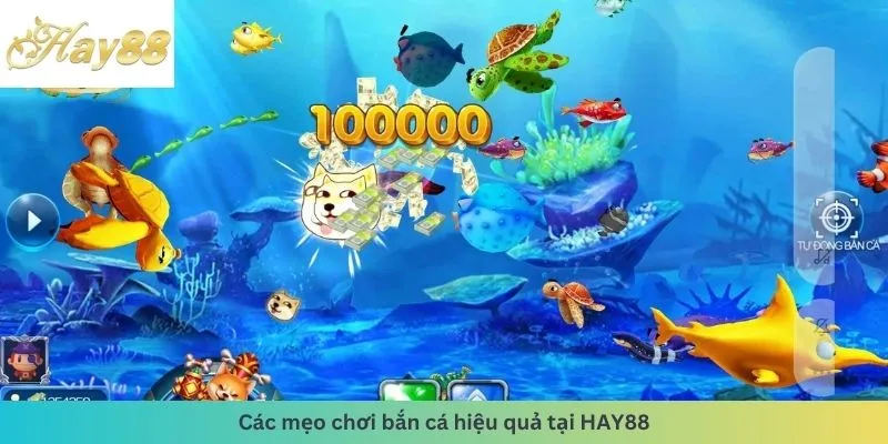 Các mẹo chơi hiệu quả