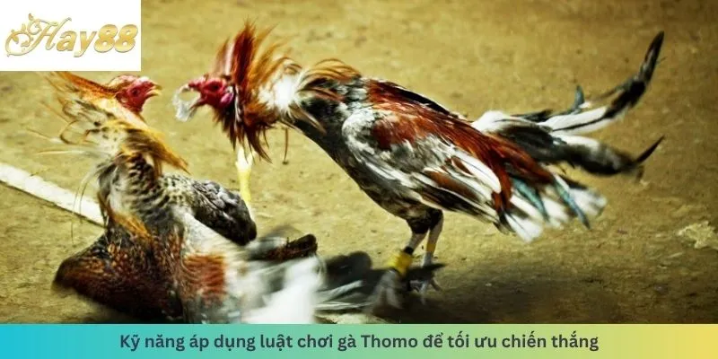 Kỹ năng áp dụng luật tối ưu chiến thắng