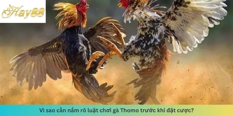 Lý do cần nắm rõ