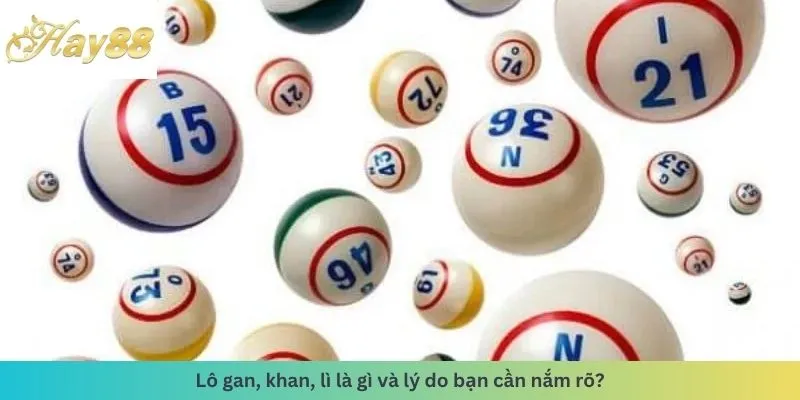 Lý do cần nắm rõ