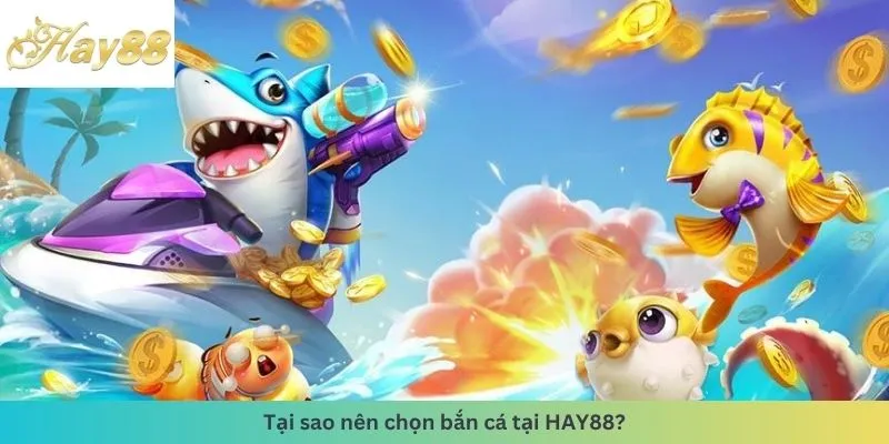 Lý do nên bọn bắn cá tại nhà cái