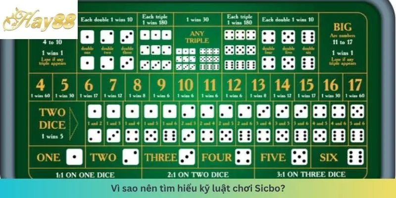 Lý do nên tìm hiểu
