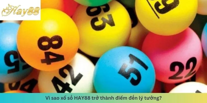 Lý do trở thành điểm đến lý tưởng