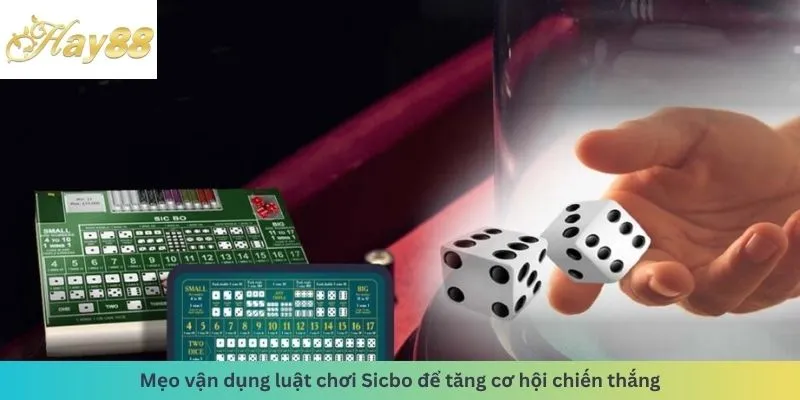 Mẹo vận dụng luật