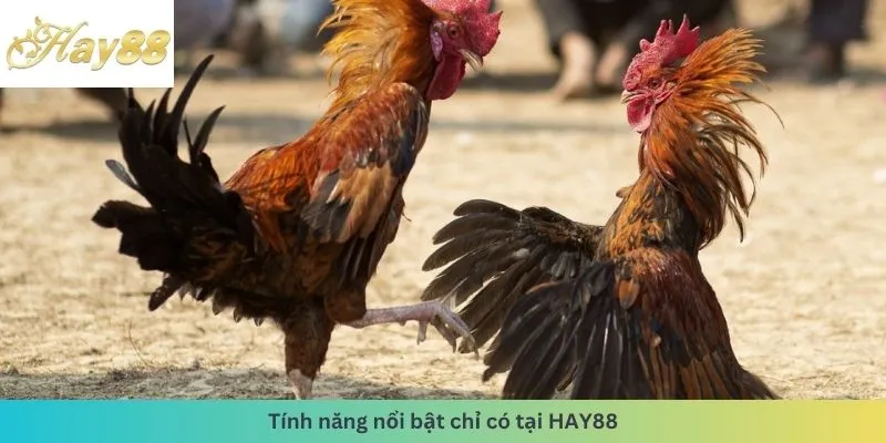 Tính năng nổi bật