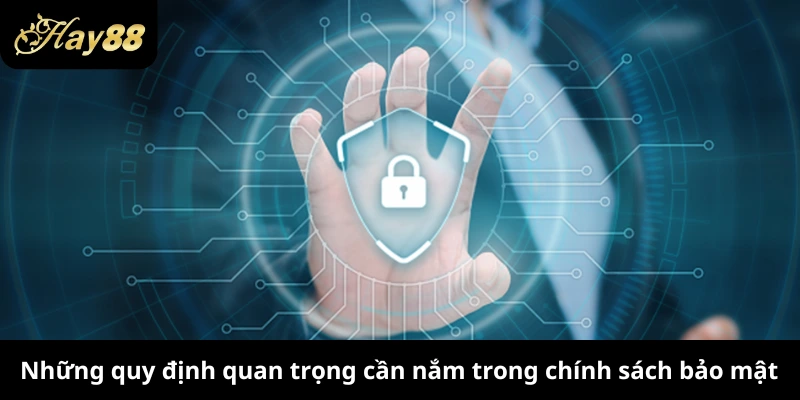 Những quy định quan trọng cần nắm trong chính sách bảo mật