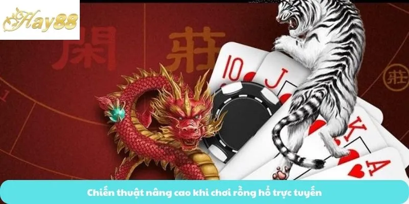 Chiến thuật nâng cao khi chơi rồng hổ trực tuyến
