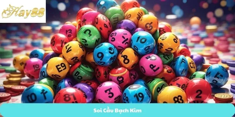 Soi Cầu Bạch Kim