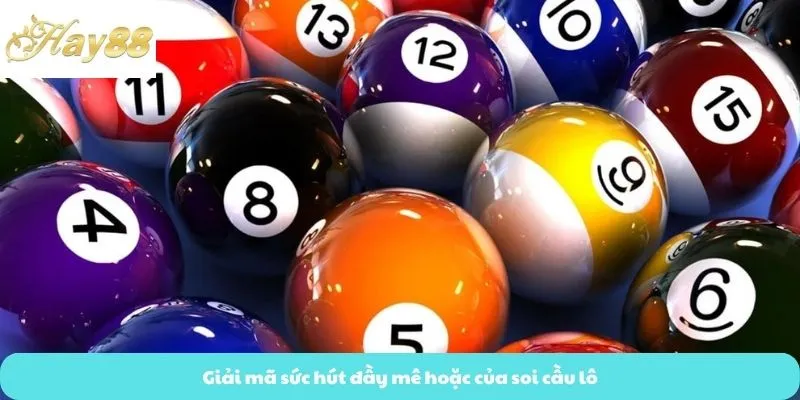 Giải mã sức hút đầy mê hoặc của soi cầu lô